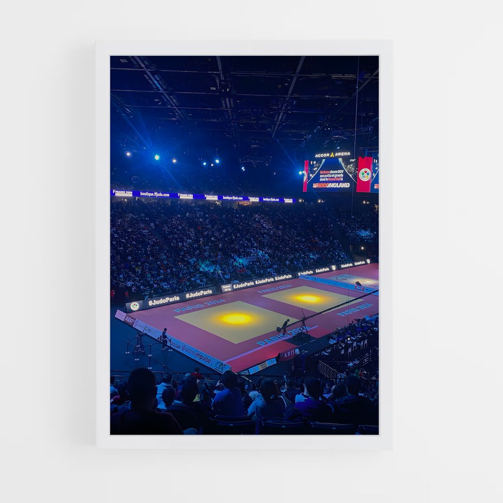 Poster Judo en Action (vue 3)